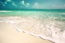 COMME UNE... CONFESSION DE FOI