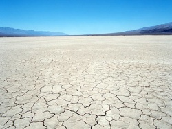 COMME UNE... CONFESSION DE FOI