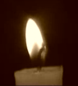 SANS MARIE MADELEINE