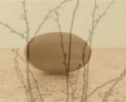 SANS MARIE MADELEINE